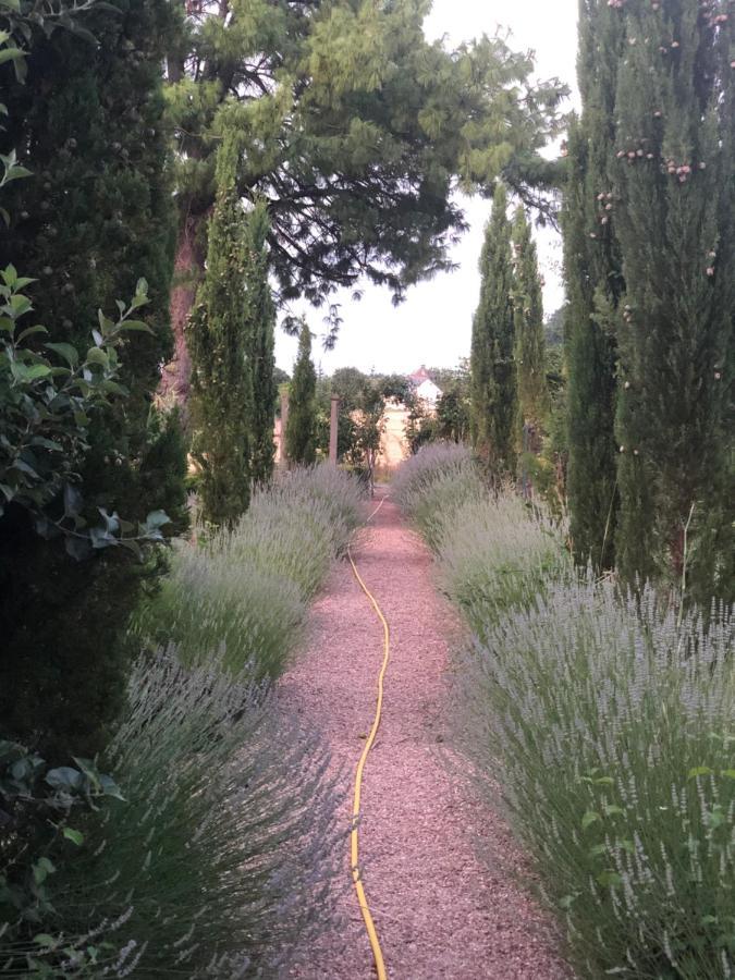 Les Jardins Haute Couture Huismes Extérieur photo