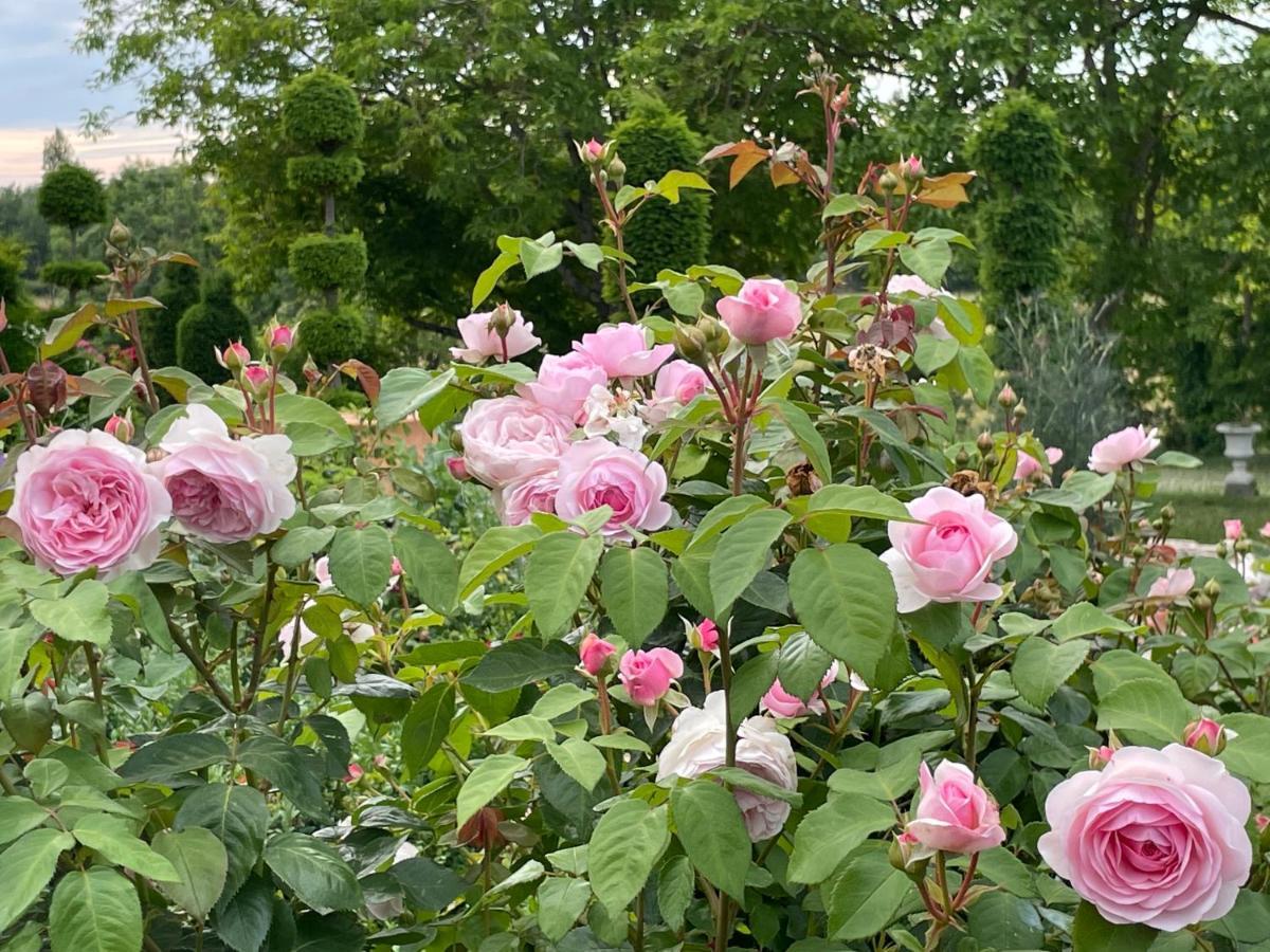 Les Jardins Haute Couture Huismes Extérieur photo